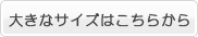 �礭�ʥ������Ϥ����餫��