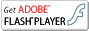 flash player����������ɥڡ�����